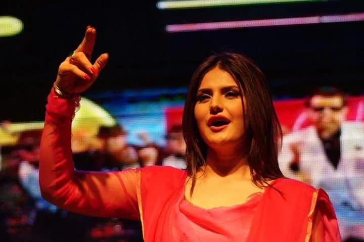 Lovely Professional University Star Night show